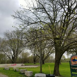 skate park at Cayuga Kinsmen Park