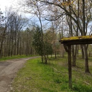 trail in LaFortune Park