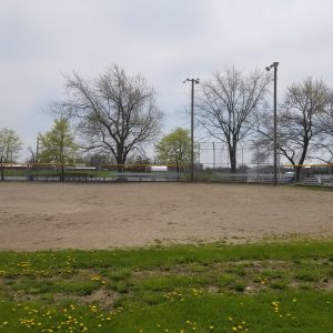 Selkirk Ball Diamond