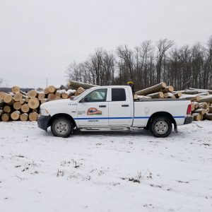 Forestry truck in front of a pile of logs