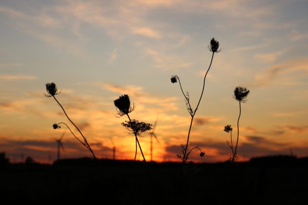 3rd place: Sunsets over Selkirk by AJ Frazer